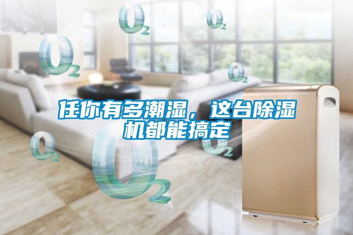 任你有多潮濕，這臺除濕機都能搞定