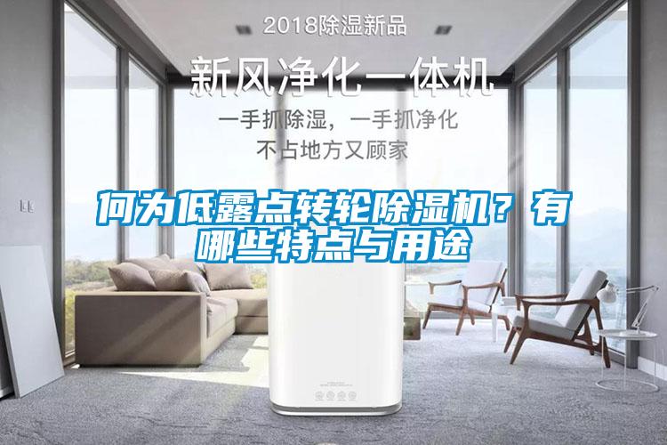 何為低露點轉輪除濕機？有哪些特點與用途