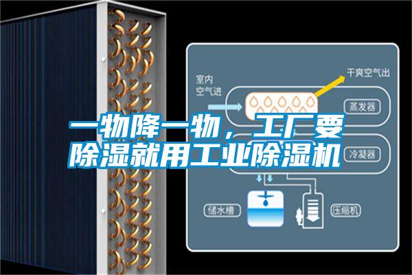 一物降一物，工廠要除濕就用工業除濕機