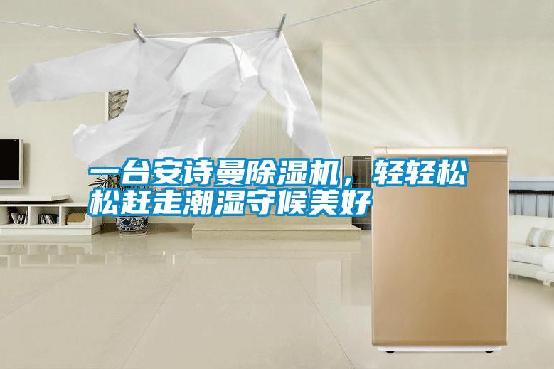 一臺(tái)安詩(shī)曼除濕機(jī)，輕輕松松趕走潮濕守候美好