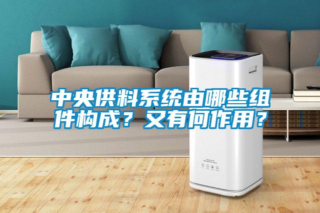 中央供料系統由哪些組件構成？又有何作用？