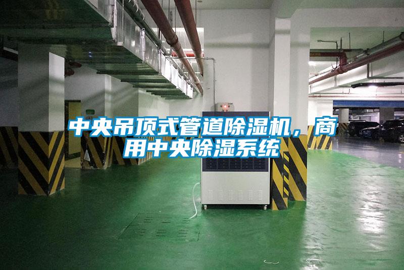 中央吊頂式管道除濕機，商用中央除濕系統
