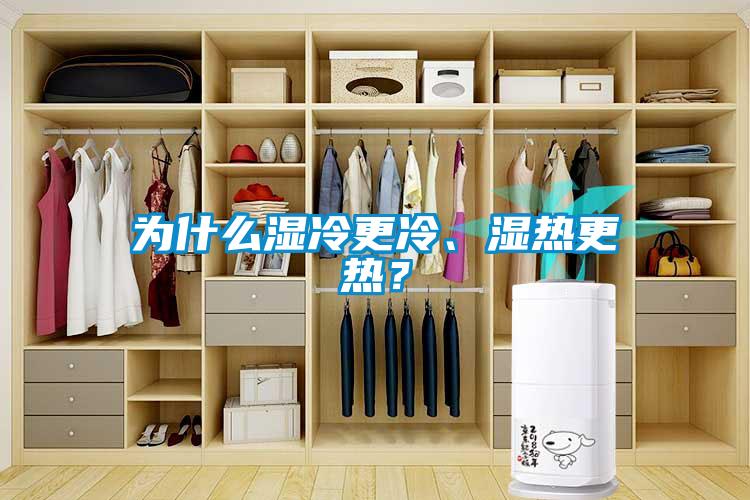 為什么濕冷更冷、濕熱更熱？
