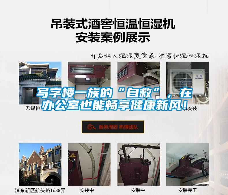 寫字樓一族的“自救”，在辦公室也能暢享健康新風！