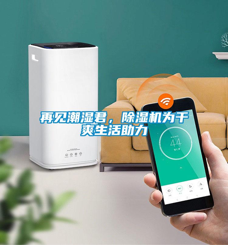 再見潮濕君，除濕機為干爽生活助力