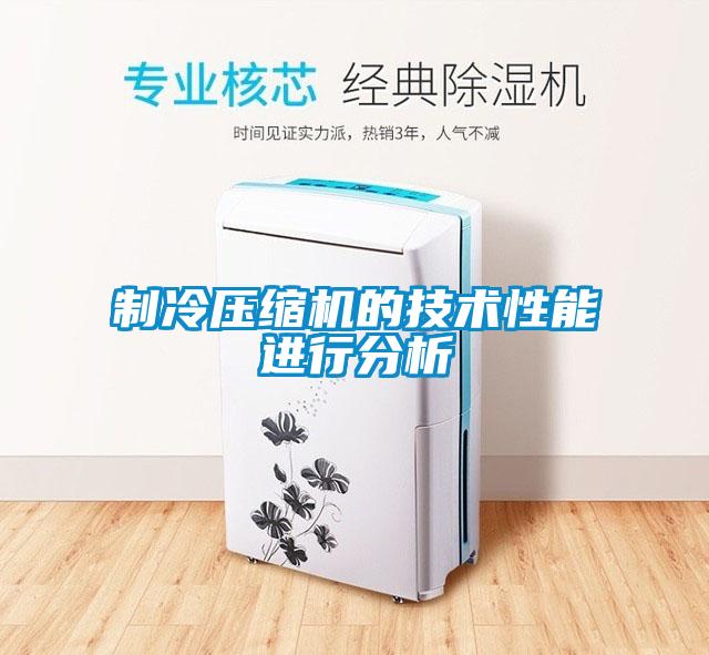 制冷壓縮機的技術(shù)性能進行分析