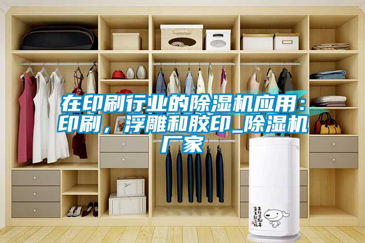 在印刷行業(yè)的除濕機(jī)應(yīng)用：印刷，浮雕和膠印_除濕機(jī)廠(chǎng)家