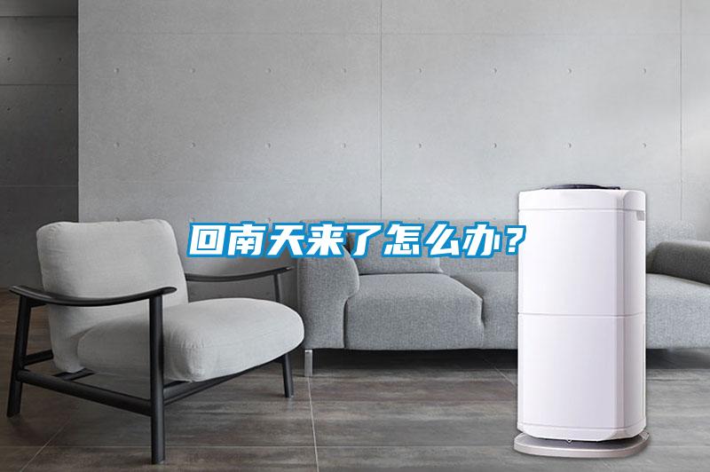 回南天來了怎么辦？