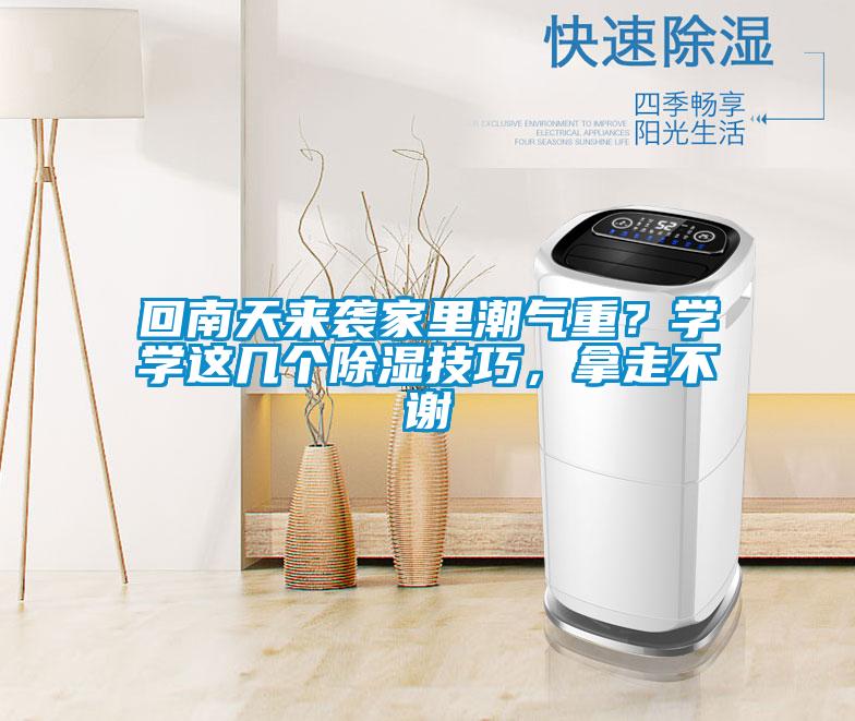 回南天來襲家里潮氣重？學(xué)學(xué)這幾個(gè)除濕技巧，拿走不謝