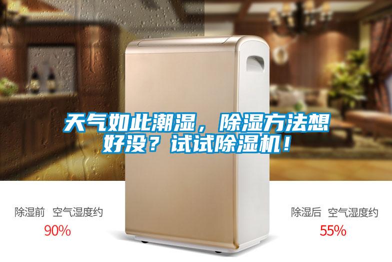 天氣如此潮濕，除濕方法想好沒(méi)？試試除濕機(jī)！