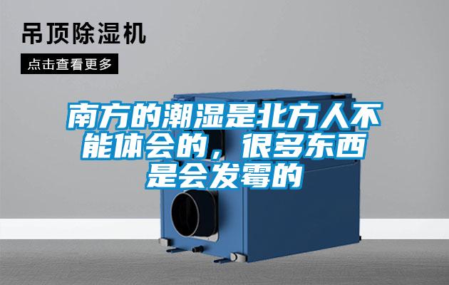 南方的潮濕是北方人不能體會的，很多東西是會發霉的