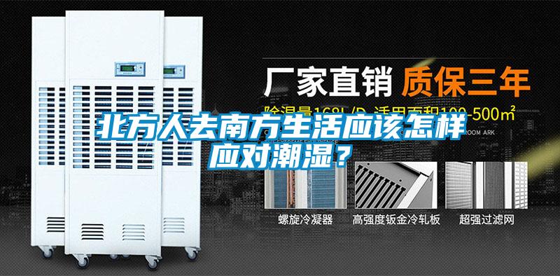 北方人去南方生活應該怎樣應對潮濕？