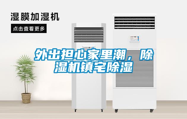 外出擔(dān)心家里潮，除濕機(jī)鎮(zhèn)宅除濕
