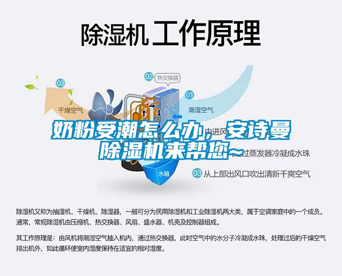 奶粉受潮怎么辦，安詩曼除濕機來幫您~