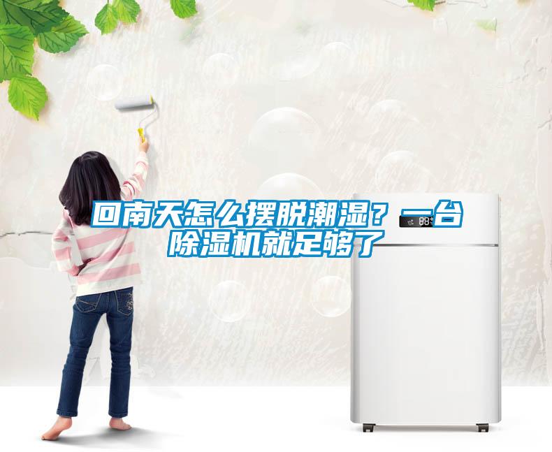 回南天怎么擺脫潮濕？一臺除濕機就足夠了