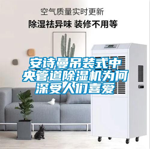 安詩曼吊裝式中央管道除濕機(jī)為何深受人們喜愛