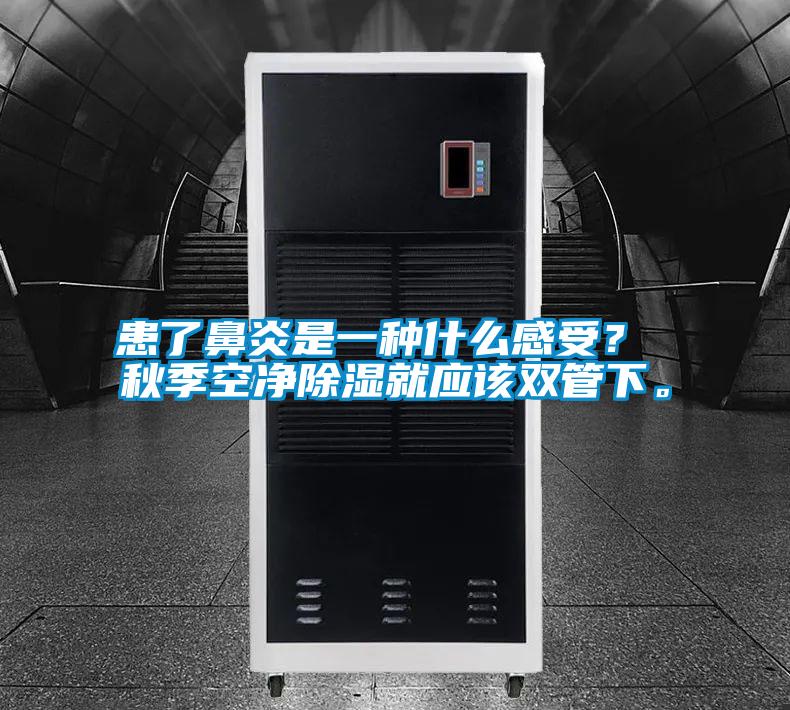 患了鼻炎是一種什么感受？ 秋季空凈除濕就應該雙管下。