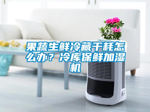 果蔬生鮮冷藏干耗怎么辦？冷庫保鮮加濕機