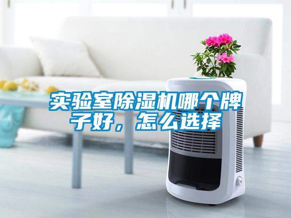實(shí)驗(yàn)室除濕機(jī)哪個(gè)牌子好，怎么選擇