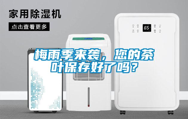 梅雨季來襲，您的茶葉保存好了嗎？