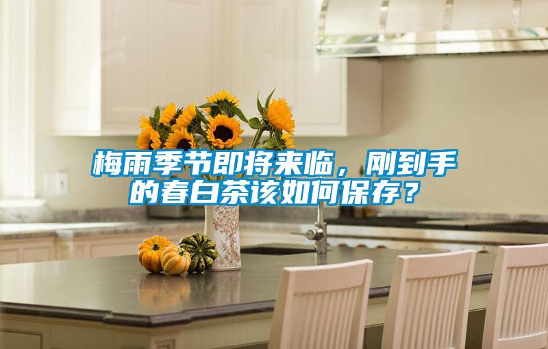 梅雨季節即將來臨，剛到手的春白茶該如何保存？