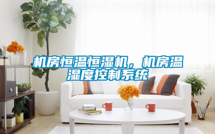 機(jī)房恒溫恒濕機(jī)，機(jī)房溫濕度控制系統(tǒng)