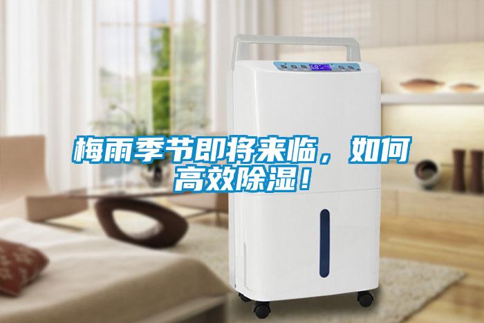 梅雨季節(jié)即將來臨，如何高效除濕！