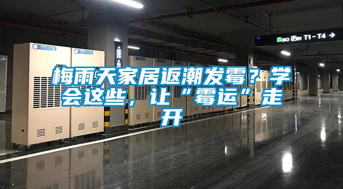 梅雨天家居返潮發霉？學會這些，讓“霉運”走開