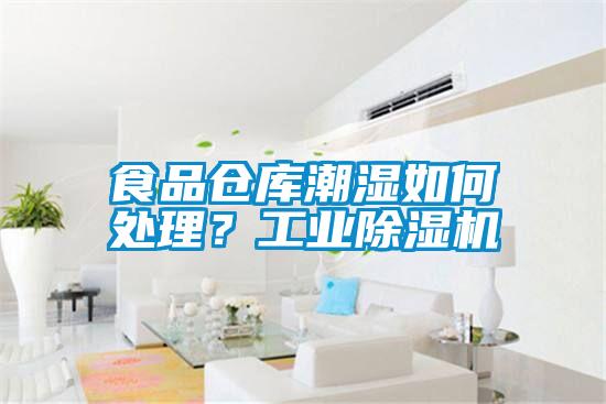 食品倉庫潮濕如何處理？工業(yè)除濕機(jī)
