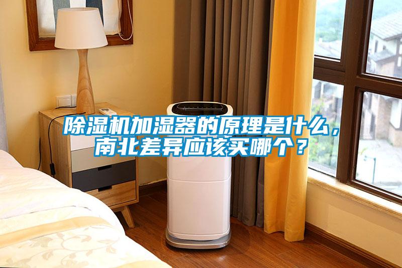 除濕機加濕器的原理是什么，南北差異應該買哪個？