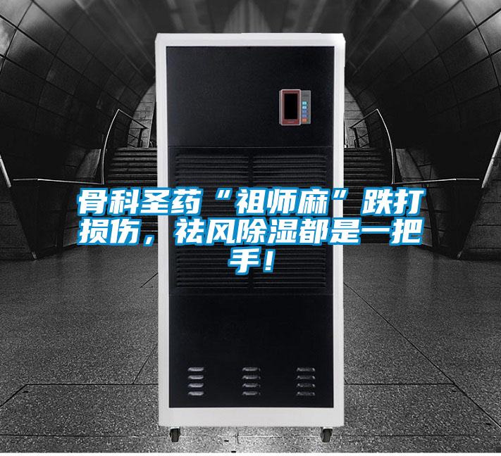 骨科圣藥“祖師麻”跌打損傷，祛風除濕都是一把手！