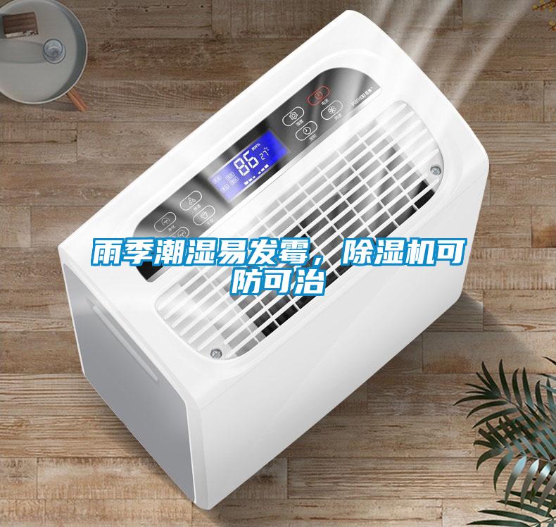 雨季潮濕易發霉，除濕機可防可治
