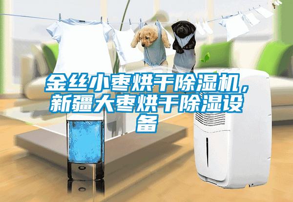 金絲小棗烘干除濕機，新疆大棗烘干除濕設備