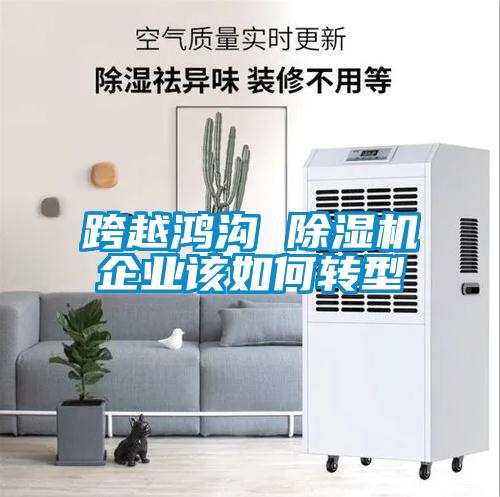 跨越鴻溝 除濕機(jī)企業(yè)該如何轉(zhuǎn)型