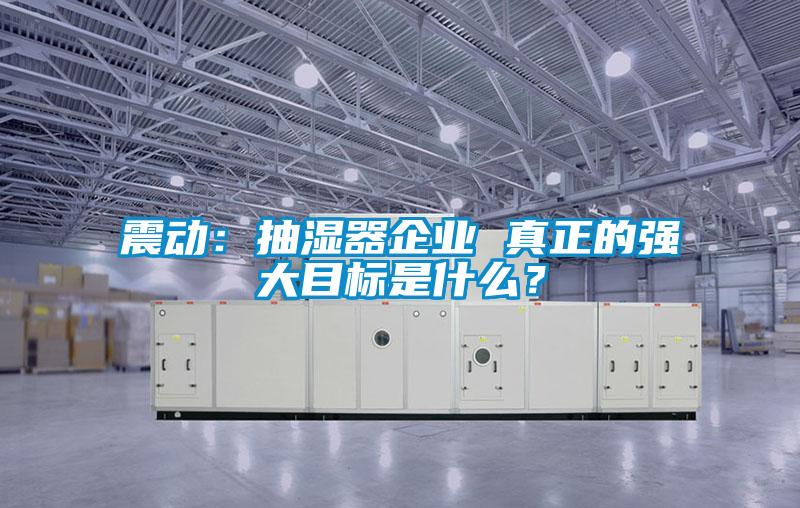 震動：抽濕器企業 真正的強大目標是什么？