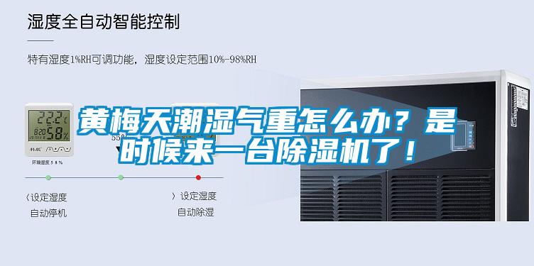 黃梅天潮濕氣重怎么辦？是時(shí)候來一臺除濕機(jī)了！