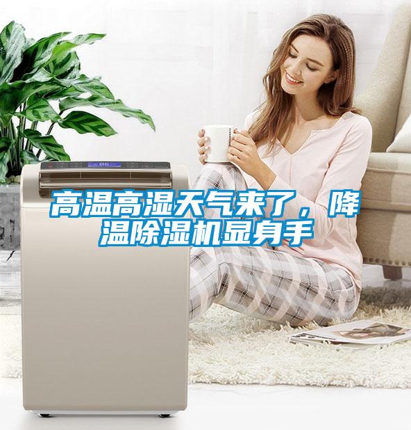 高溫高濕天氣來了,降溫除濕機顯身手