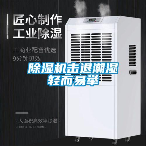 除濕機(jī)擊退潮濕輕而易舉