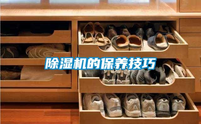 除濕機的保養技巧