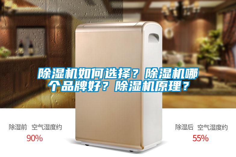 除濕機(jī)如何選擇?除濕機(jī)哪個(gè)品牌好?除濕機(jī)原理?