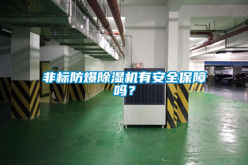 非標防爆除濕機有安全保障嗎？
