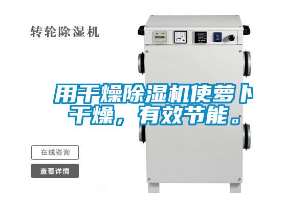 用干燥除濕機使蘿卜干燥，有效節能。