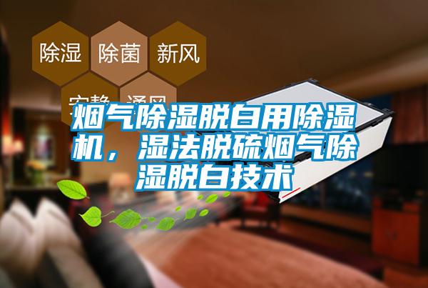 煙氣除濕脫白用除濕機，濕法脫硫煙氣除濕脫白技術