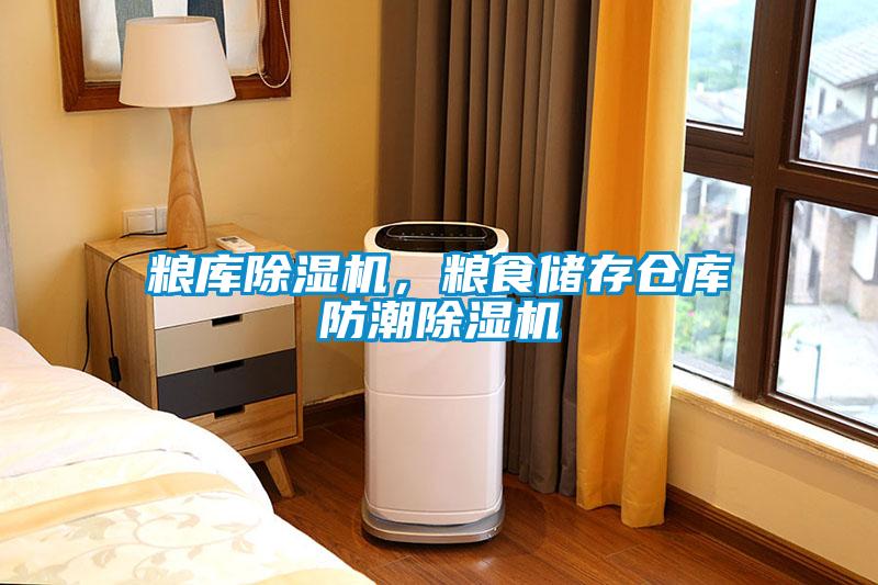 糧庫(kù)除濕機(jī)，糧食儲(chǔ)存?zhèn)}庫(kù)防潮除濕機(jī)