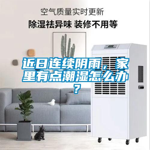近日連續(xù)陰雨，家里有點(diǎn)潮濕怎么辦？