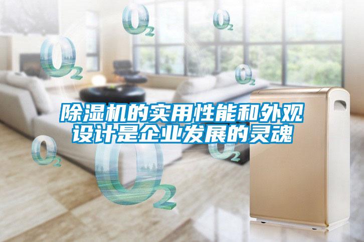 除濕機的實用性能和外觀設計是企業(yè)發(fā)展的靈魂