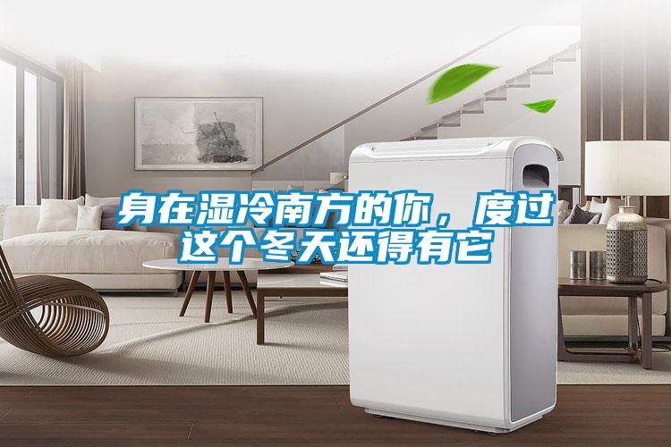 身在濕冷南方的你，度過這個(gè)冬天還得有它