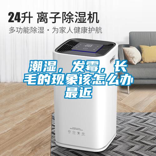 潮濕，發(fā)霉，長毛的現(xiàn)象該怎么辦最近