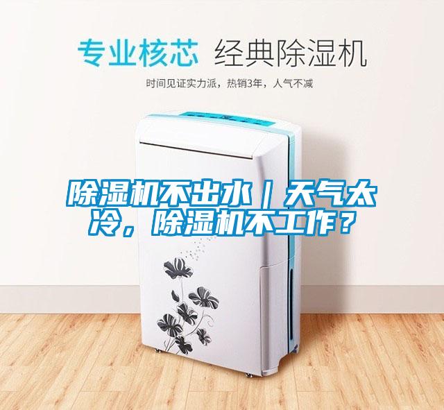 除濕機(jī)不出水｜天氣太冷，除濕機(jī)不工作？