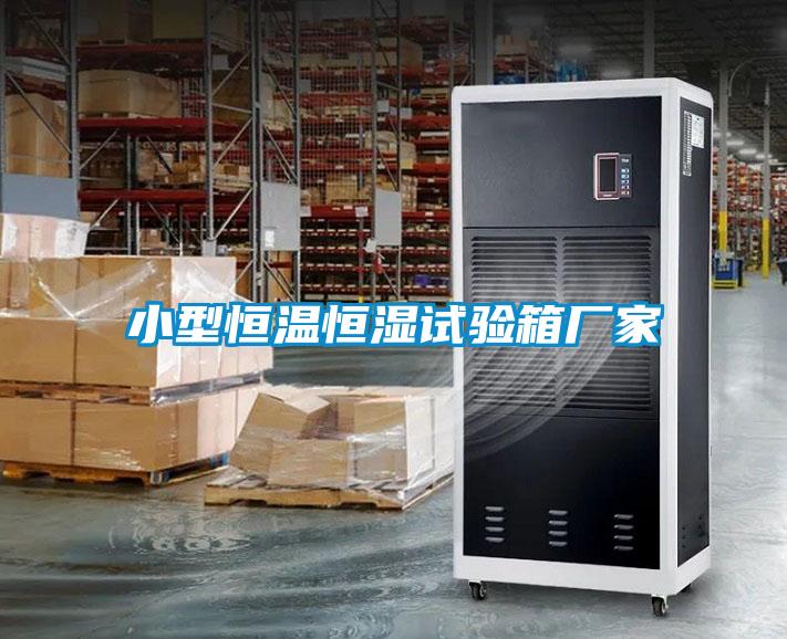 小型恒溫恒濕試驗(yàn)箱廠(chǎng)家